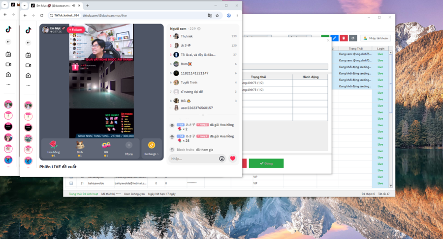 cách tăng view livestream TikTok